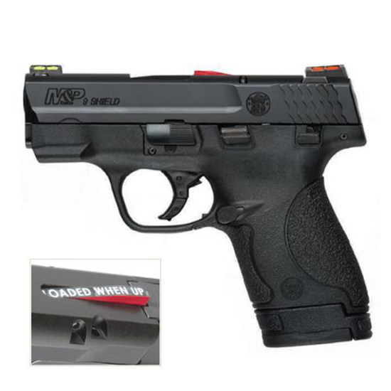 SW M&P9 SHIELD 9MM 3.1